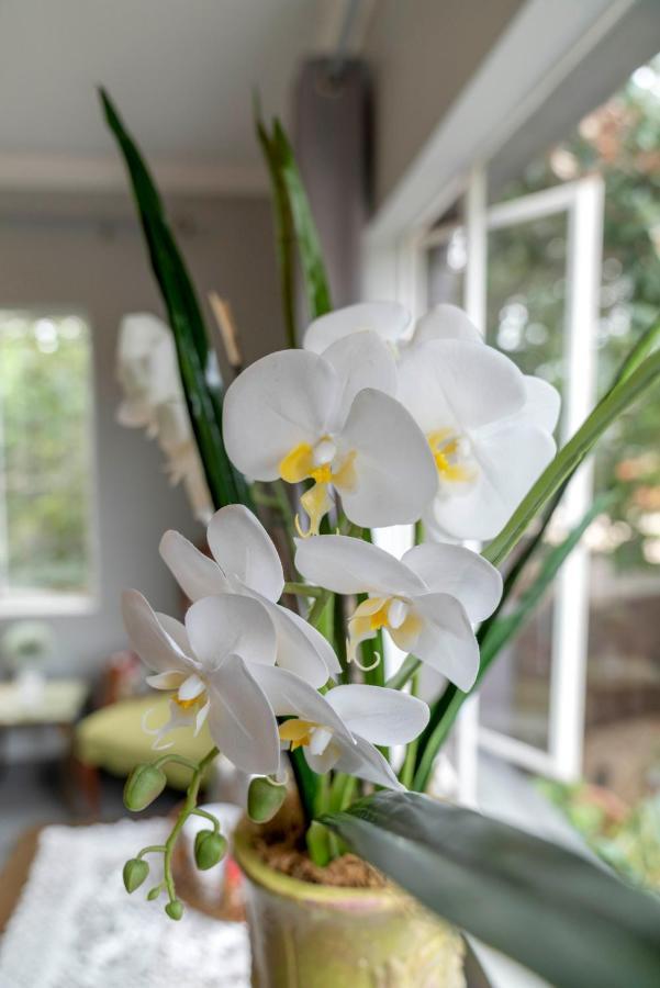 Villa Petit 杰弗里湾 外观 照片